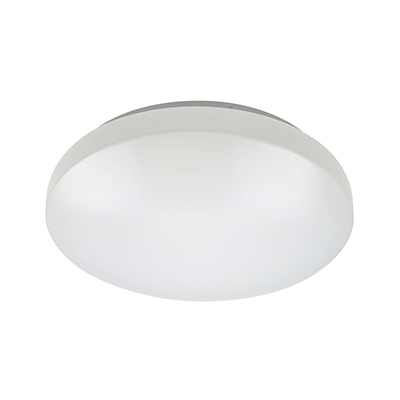 ***disc***Ceiling Light with Backup White LED