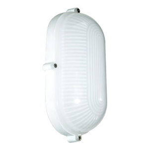 *** Disc *** Bulkhead Large Oval Plain White LED 7w